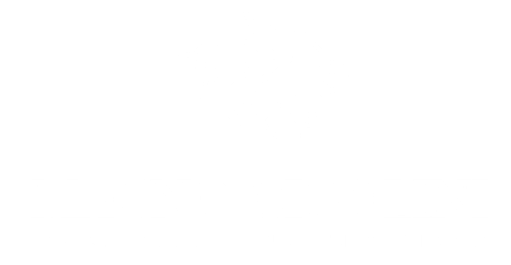 magno-cigolini-vendas-consultoria